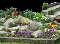 Terrassenbeet*2002-07*Hangsicherungent*Bongossi-Beeteinfassung.webp