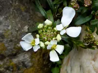 017.webp 017.webp