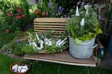 Gartentage1207.webp