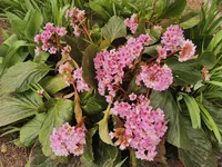 IMG_20260315_115835.webp