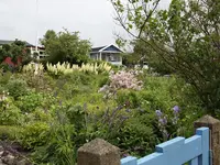S-Landskr11.webp