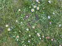 IMG_2261.webp