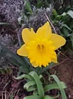 20260315_150918.webp