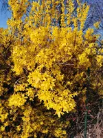 IMG_20260318_161748.webp
