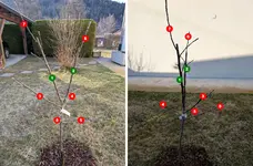 gravensteiner-nummeriert.webp
