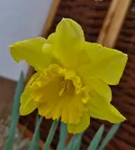 20260320_131916.webp