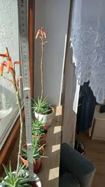 20260307_095037.webp