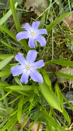 IMG_7731.webp IMG_7731.webp