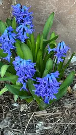 IMG_7722.webp IMG_7722.webp