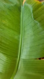 17740842527056301135043426879190.webp