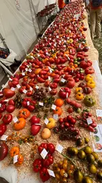 IMG_3752.webp
