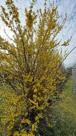 IMG_7733.webp