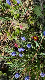 IMG_7762.webp