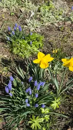 IMG_7767.webp