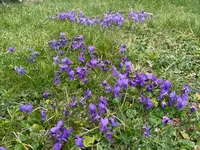 IMG_5053.webp