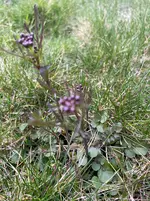 IMG_5054.webp