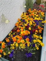 IMG_5139.webp IMG_5139.webp