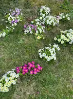 IMG_5147.webp IMG_5147.webp