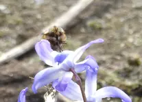 28.webp