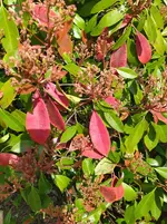 IMG_20260323_123508_1.webp