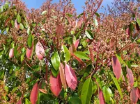 IMG_20260323_123504_1.webp