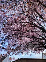 IMG_20260323_123336_1~2.webp