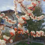 IMG_20260323_152242.webp