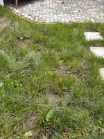IMG_8390.webp