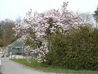 P1000616.webp
