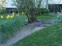 Beet öE 20200322.webp Beet öE 20200322.webp