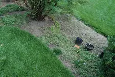 Beet öE 20220830.webp Beet öE 20220830.webp