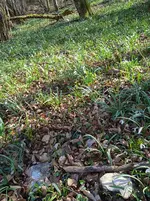 IMG_20260324_144404.webp