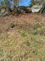 IMG_20260324_145104_1.webp
