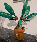 PXL_20260326_204301960.MP.webp