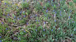 IMG_7725.webp