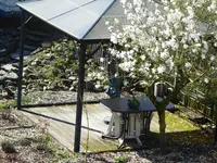 Terrasse.webp