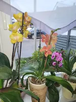 20260326_071529.webp