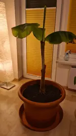 20260328_204257.webp