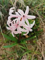 IMG_20260324_164455.webp