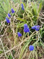 IMG_20260324_164513.webp