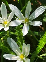 IMG_6302 Kopie.webp