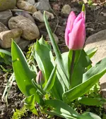 20260329_154821.webp
