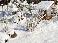 IMG_20260330_153505.webp