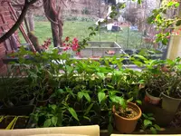 IMG_1720.webp IMG_1720.webp