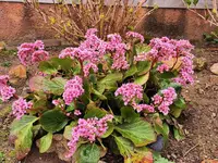 IMG_20260329_165924.webp