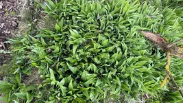 IMG_7807.webp