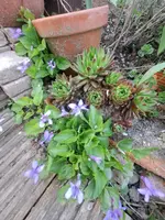 20260403_171656.webp