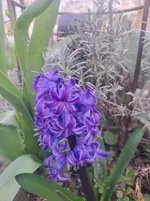 20260403_171358.webp
