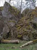IMG_20260403_140734_1.webp