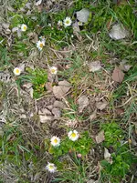 IMG_20260403_141420.webp